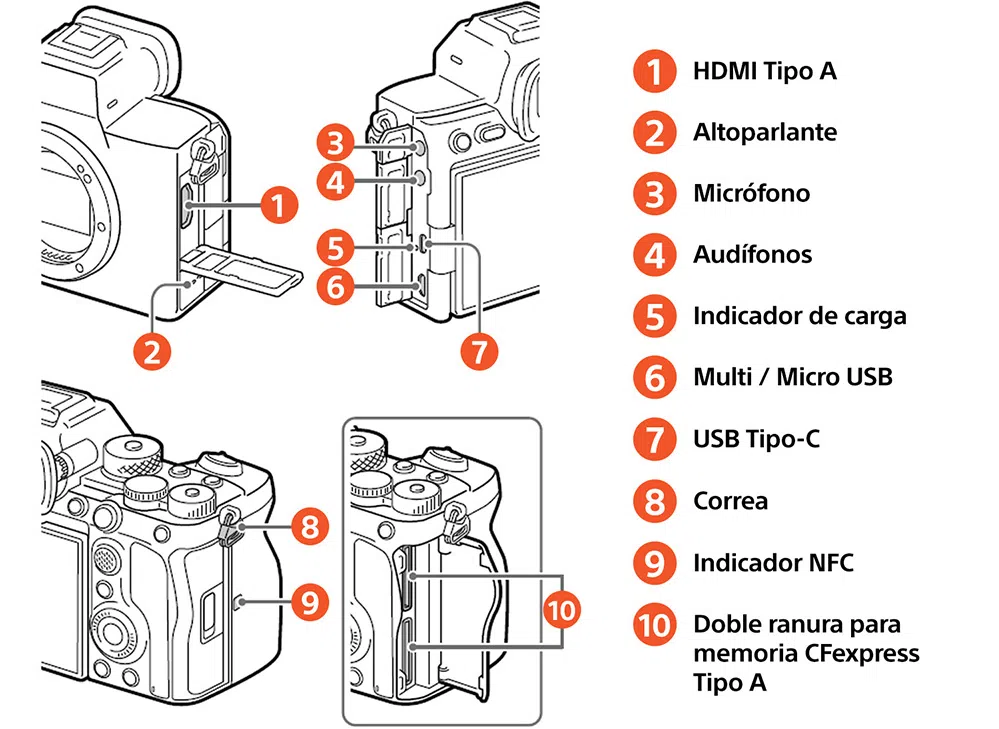 309896-1600-auto.jpg?1666387286881