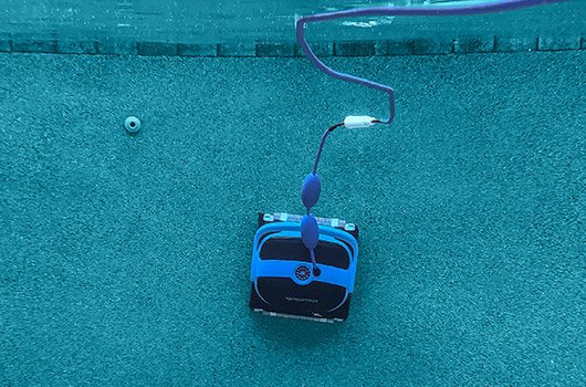 Dolphin nautilius plus piso y pared