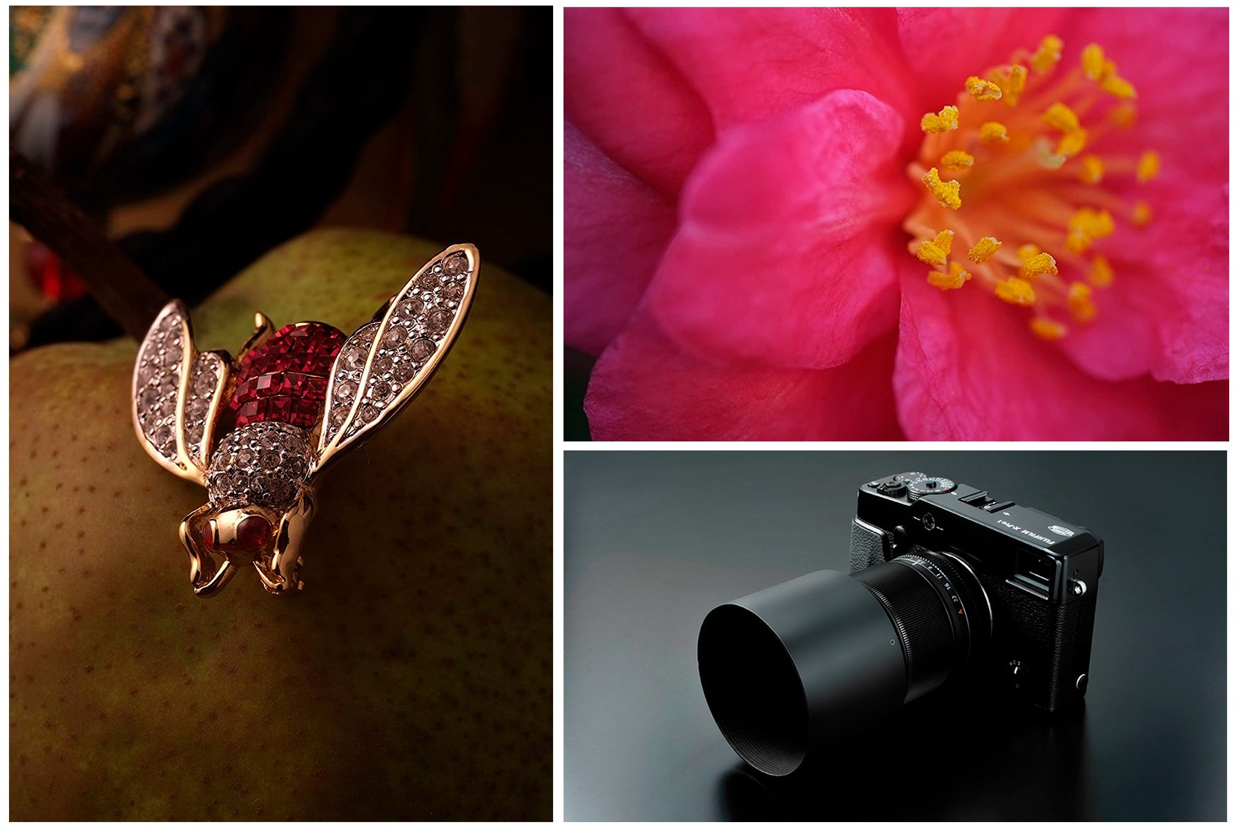 FUJINON  XF60mmF2.4 R Macro fujifilm fotos
