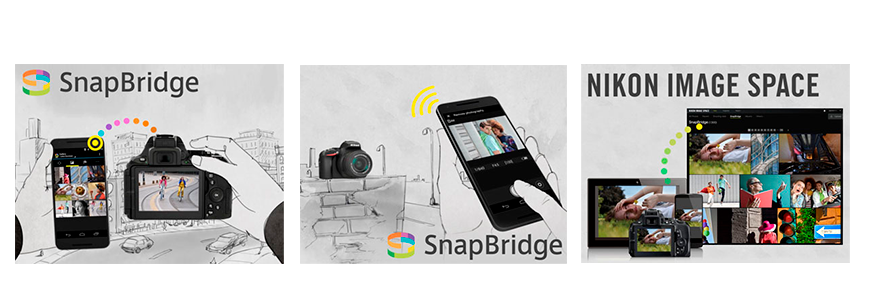 snapbridge