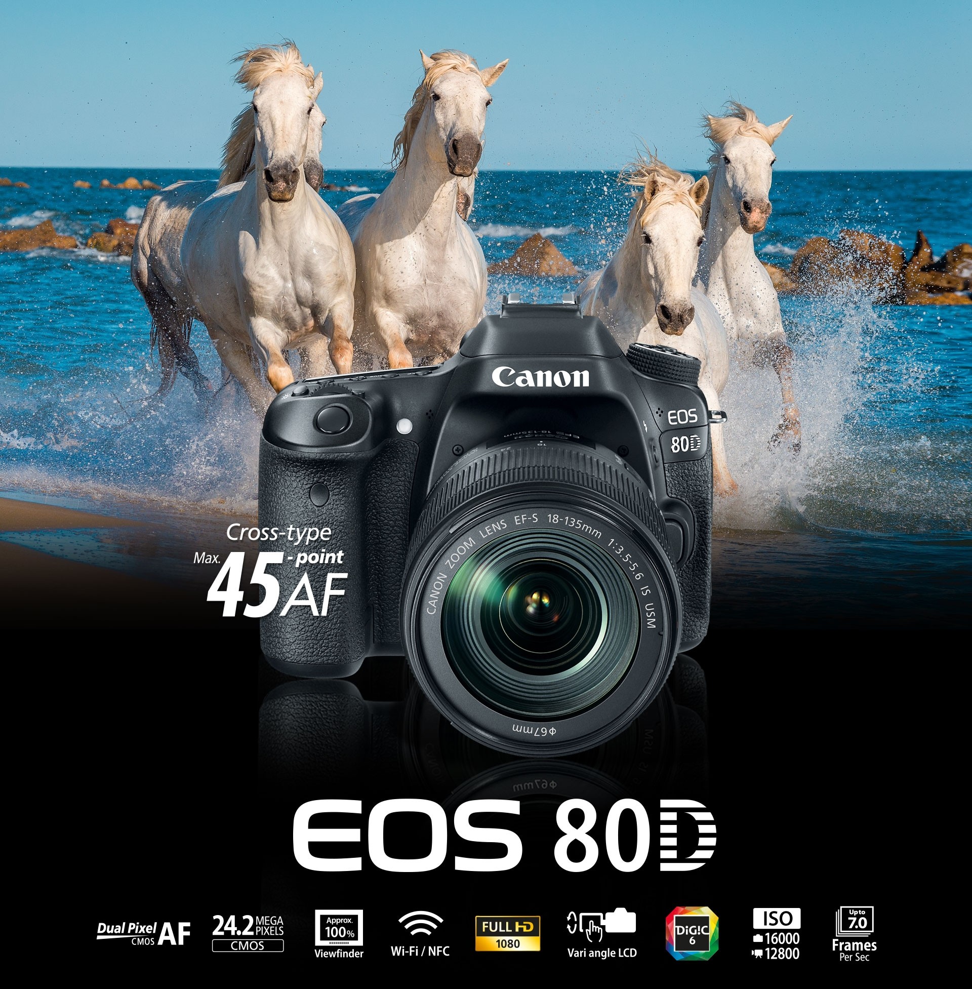 canon eos 80d