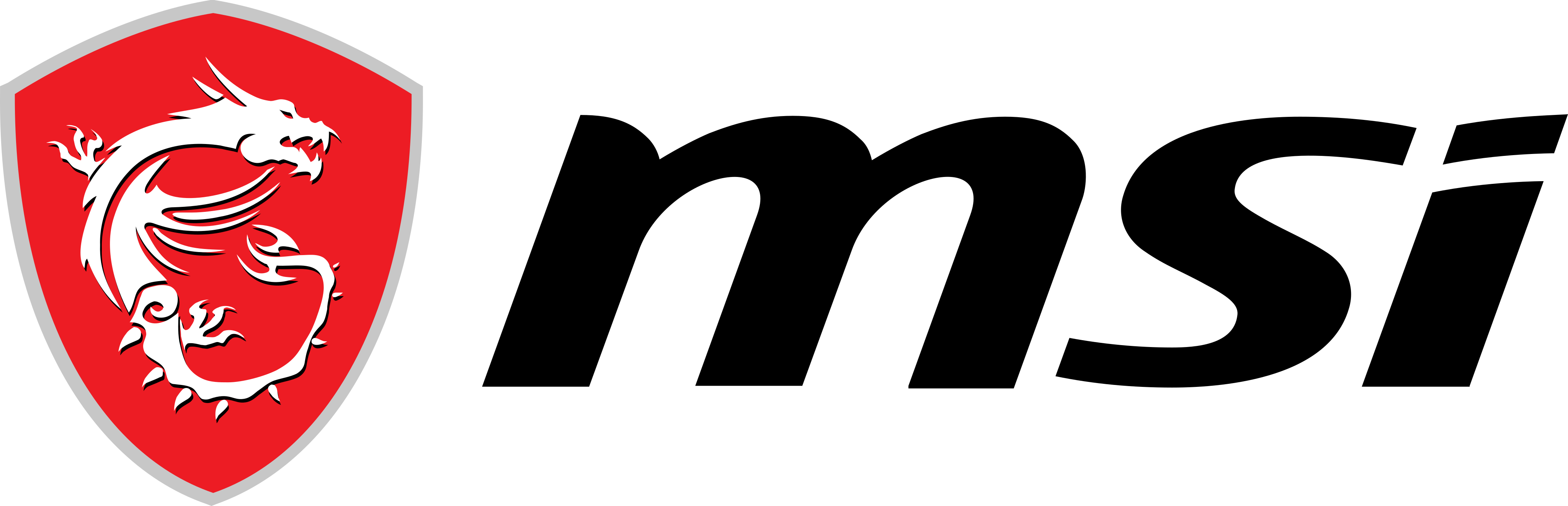 Brands MSI