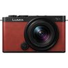 Panasonic LUMIX S9 (DC-S9NR)