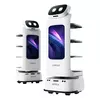 Cadebot L100
