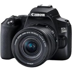 Canon EOS 250D Kit (EF-S 18-55mm STM)