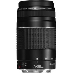 Canon EF 75-300mm f/4-5.6 III