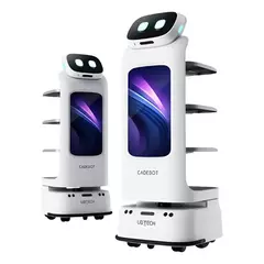 Cadebot L100