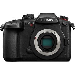 Panasonic LUMIX GH5S Body