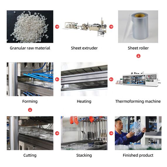 Máquina Termoformadora Automática TTF-700A Máquina Termoformadora Automática TTF-700A