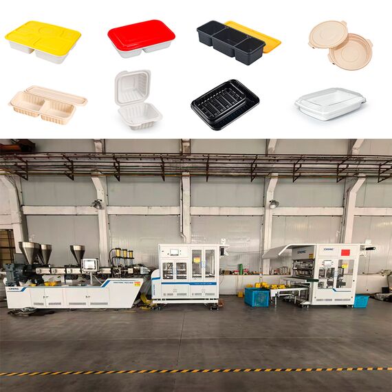 Máquina Termoformadora Automática XFeng Alta Productividad Máquina Termoformadora Automática XFeng Alta Productividad