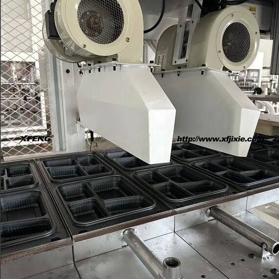Máquina Termoformadora Automática XFeng Alta Productividad Máquina Termoformadora Automática XFeng Alta Productividad