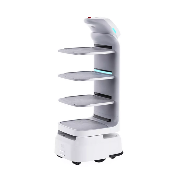 Cadebot L100