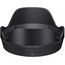 Sigma 28-45mm F/1.8 DG DN Art (Sony E)