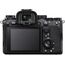 Sony Alpha 1 (A1) Body