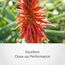 Sony FE 40mm F2.5 G (SEL40F25G)