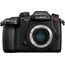 Panasonic Lumix DMC GH5 II Cuerpo Idioma inglés (DC-GH5M2)