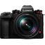 Panasonic Lumix DC-S1M2 Kit (S 24-105mm F4)