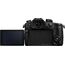 Panasonic LUMIX GH5S Body Panasonic LUMIX GH5S Body