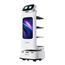 Cadebot L100
