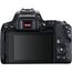 Canon EOS 250D Kit (EF-S 18-55mm STM)