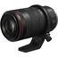 Canon RF100mm F2.8 L Macro IS USM