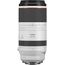 Canon RF 100-500mm f/4.5-7.1L IS USM