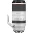 Canon RF 100-500mm f/4.5-7.1L IS USM