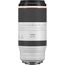 Canon RF 100-500mm f/4.5-7.1L IS USM