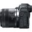 Canon EOS R8 with RF 24-50