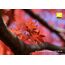 Nikon AF-S 70-200mm f/4G ED VR