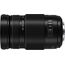 Panasonic Lumix G Vario 100-300mm f/4-5.6 II