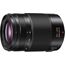 Panasonic Leica DG Vario-Elmarit 35-100mm f/2.8