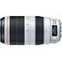 Canon EF 100-400mm f/4.5-5.6 L IS II USM